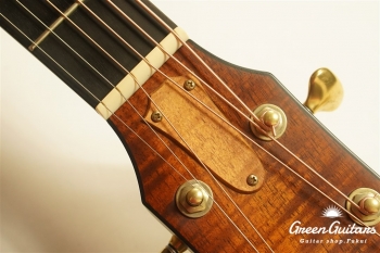 TGS2014 GSce-Koa